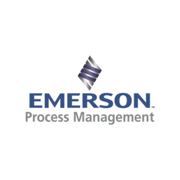 Emerson Process Management